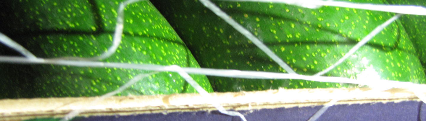 <sup>™</sup>ElastiNet<sup>®</sup> X–SPAN<sup>®</sup> NDicator