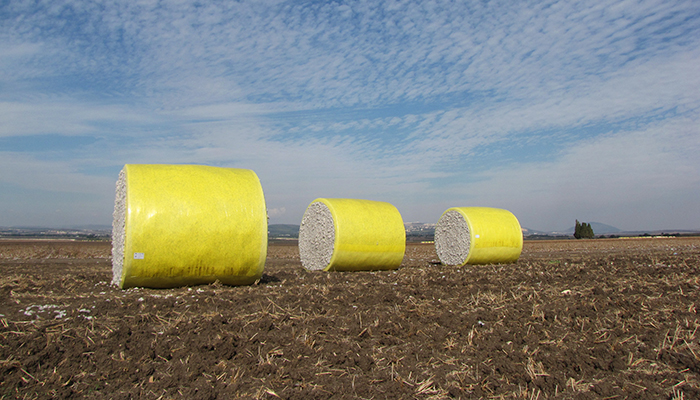 Cotton Bales