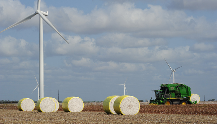 Cotton Harvesting