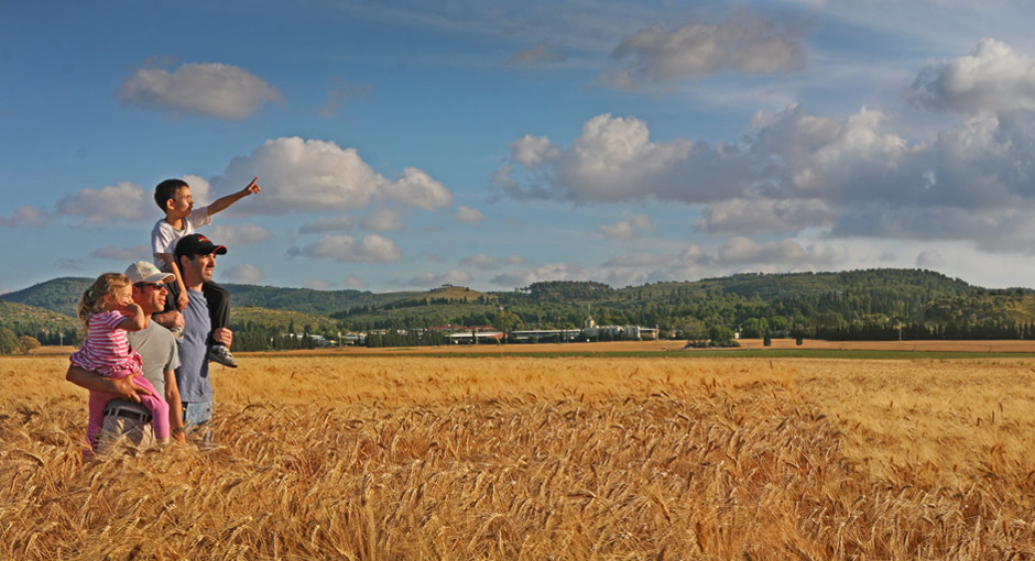 Hay Silage Straw Field Crops