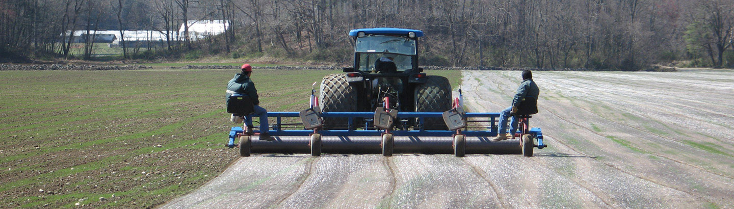 TamaTurf Reinforcement Net