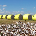 Z-LOCK™ מערכת