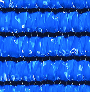 blue net