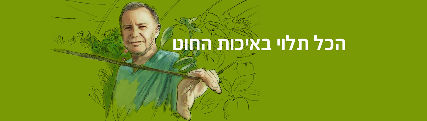 חוטי פלסטיק כבישה הדליה תמיכה