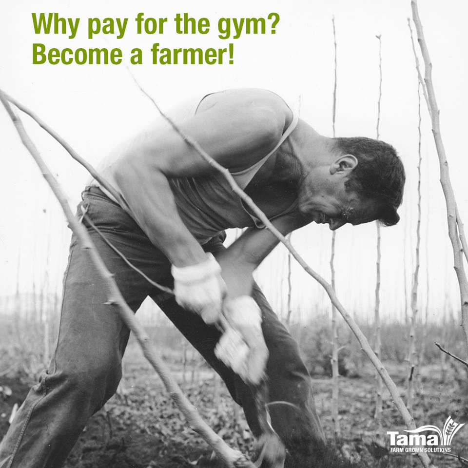 Why pay for the gym? Become a farmer!