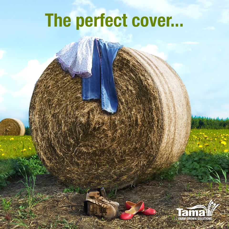 The perfect cover...