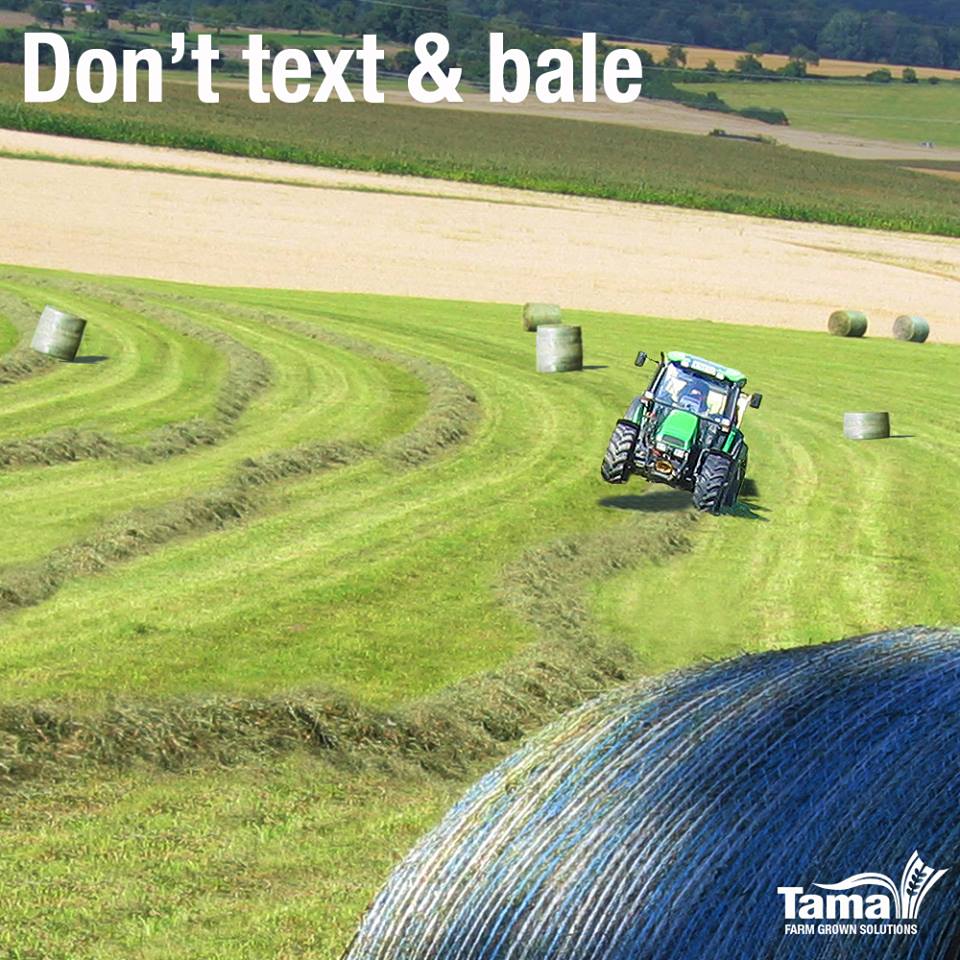 Don't text & bale