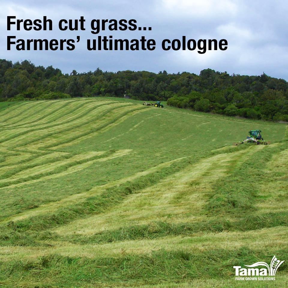 Fresh cut grass... farmers' ultimate cologne