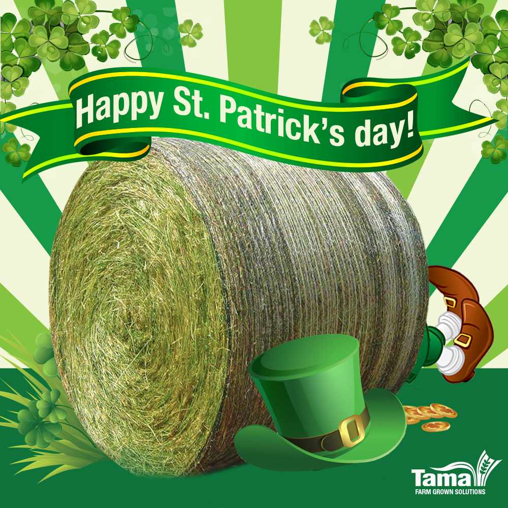 Happy St. Patrick’s day!