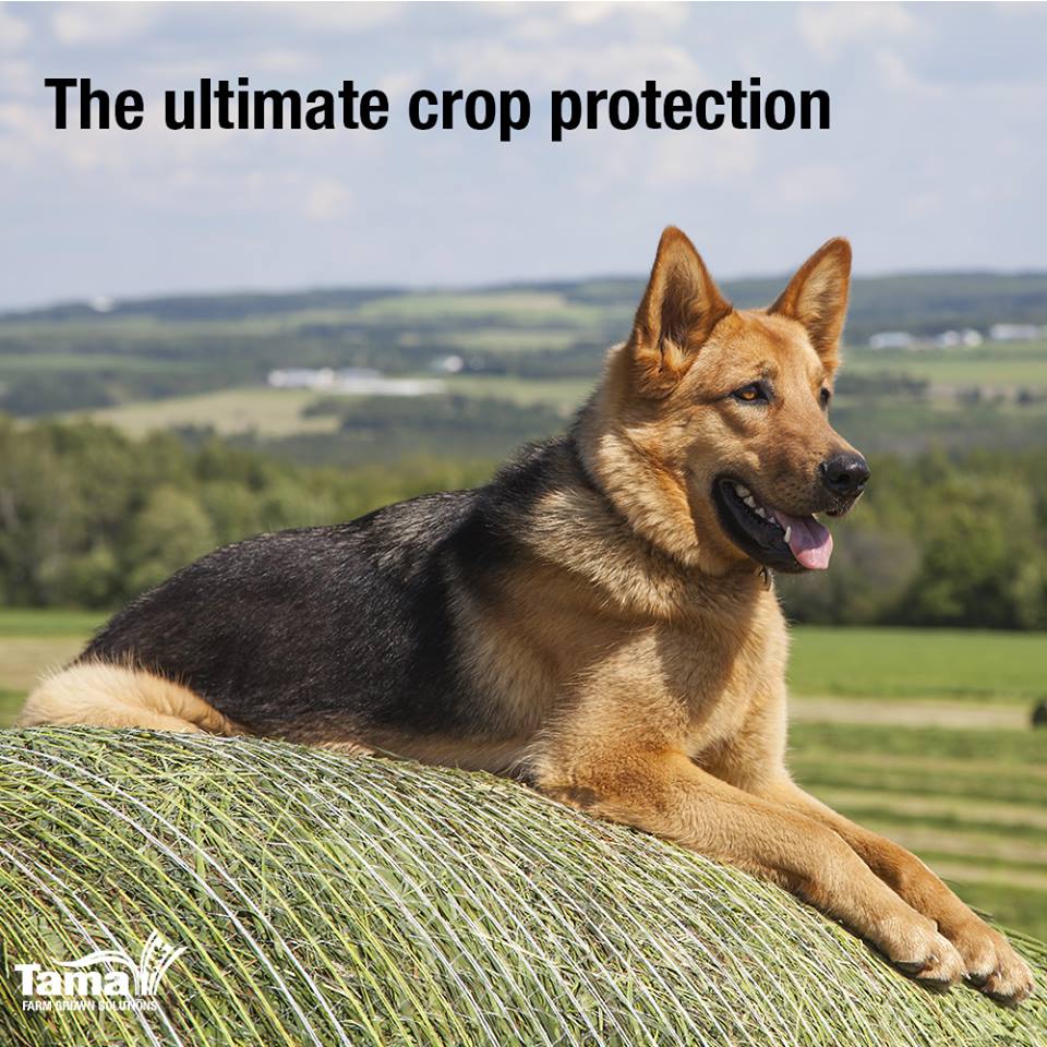 The ultimate crop protection