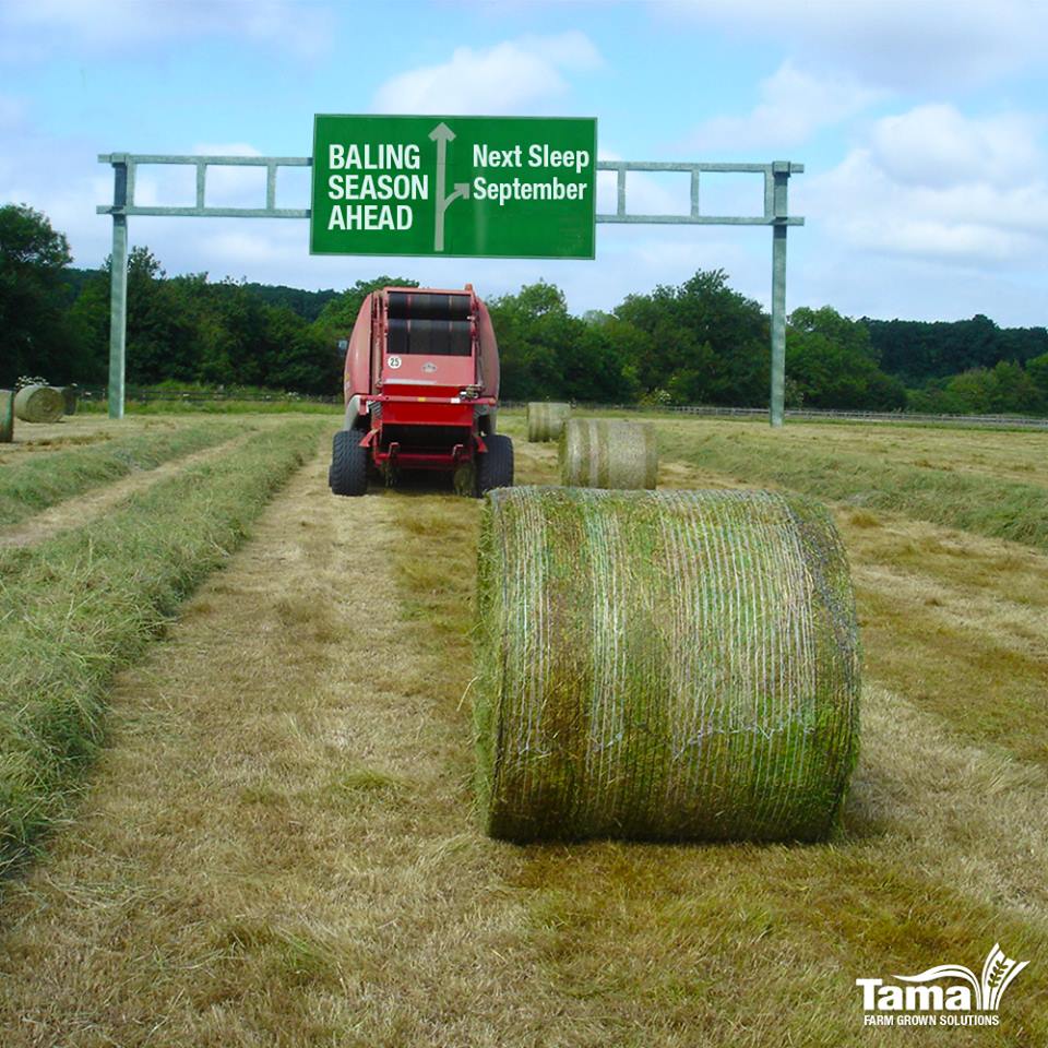 Although we’ve already posted this before, we can only guess that if you’re in the baling business it starting to get more and more relevant again