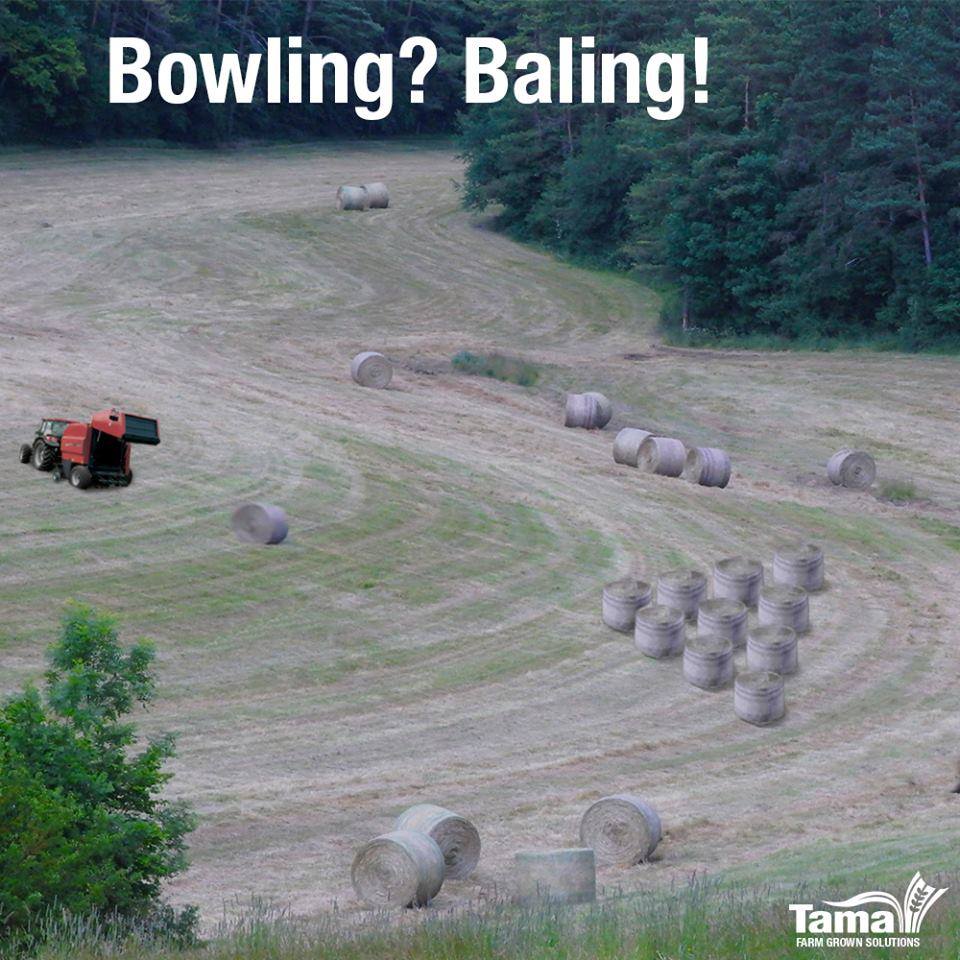 Bowling? Baling!