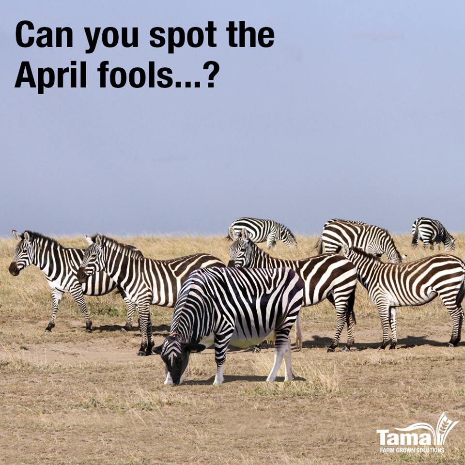 Can you spot the April fools...?