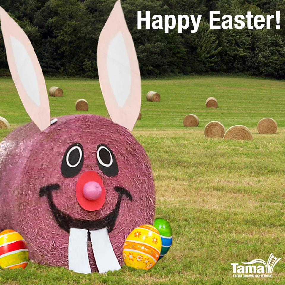 Happy Easter!