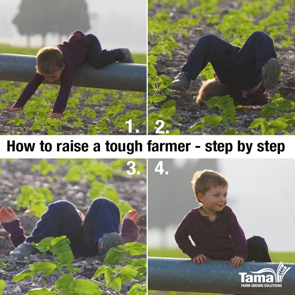 How to raise a tough farmer - step by step