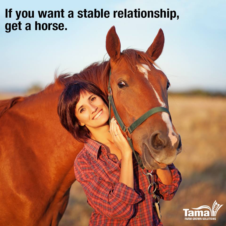 If you want stable relationship, get a horse.