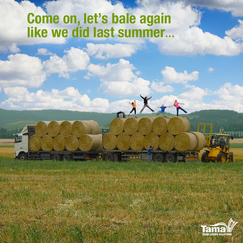 Come on, let's bale again like we did last summer...