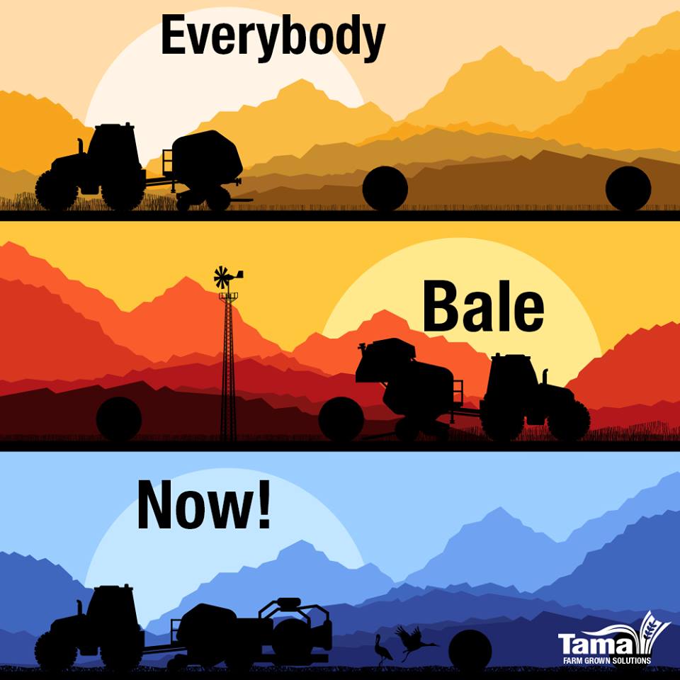 Everybody Bale Now!