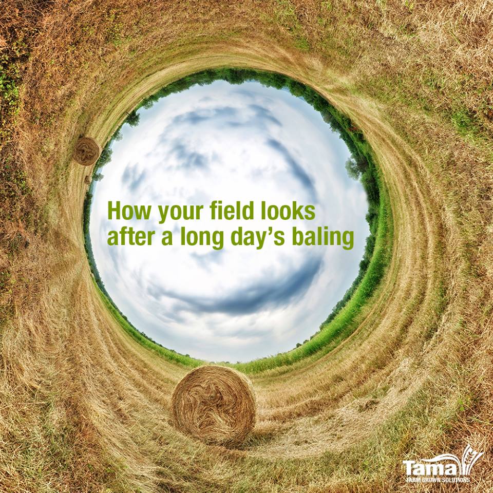 How your field looks after a long day's baling