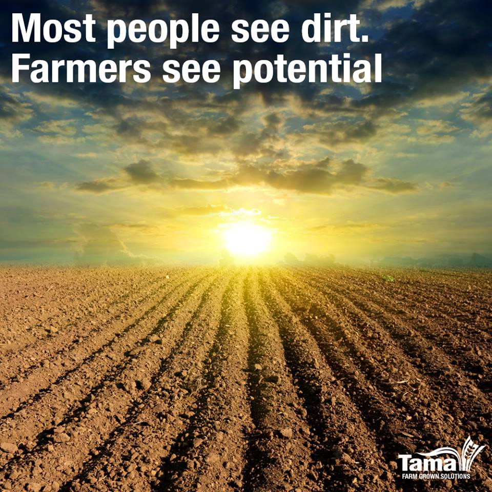 Most people see dirt. Farmers see potential