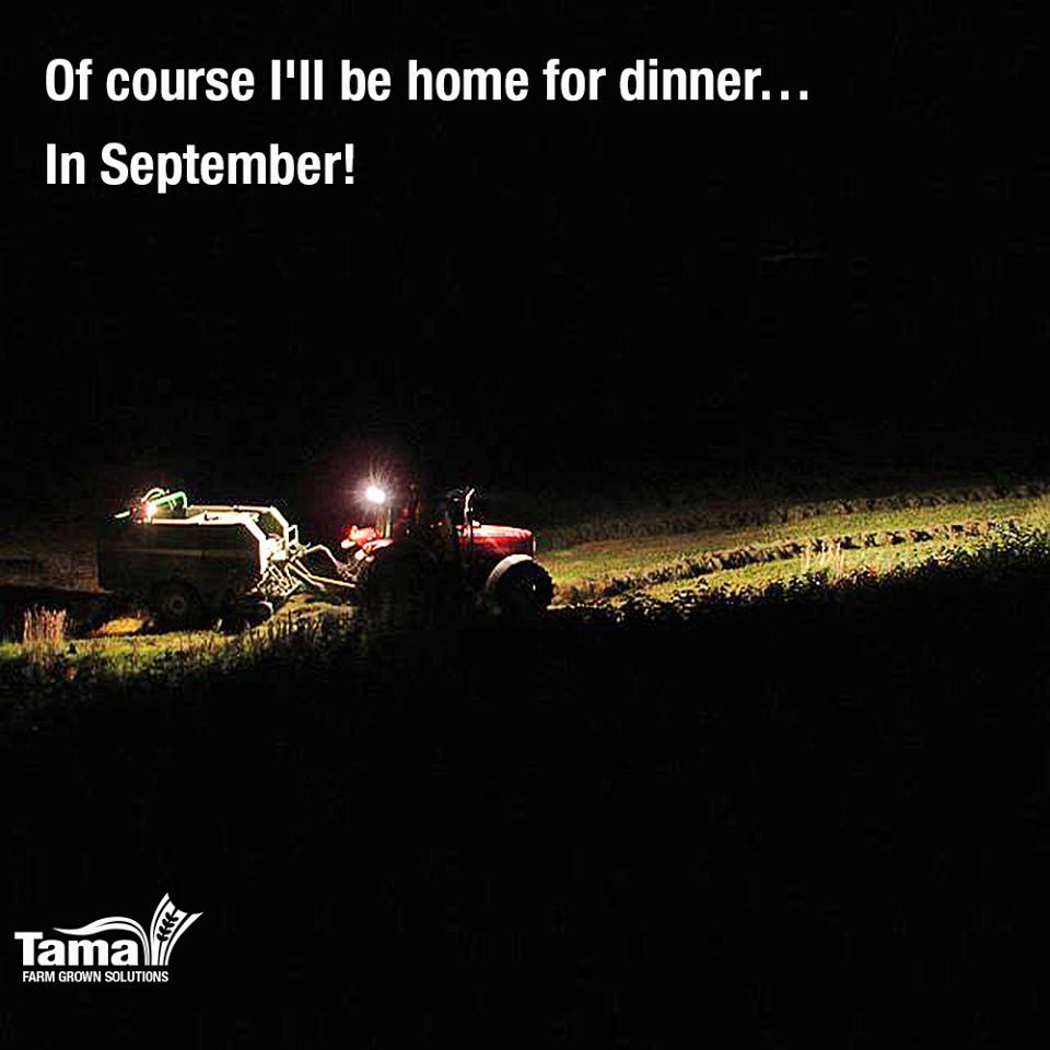 Of course I'll be home for dinner... In September!