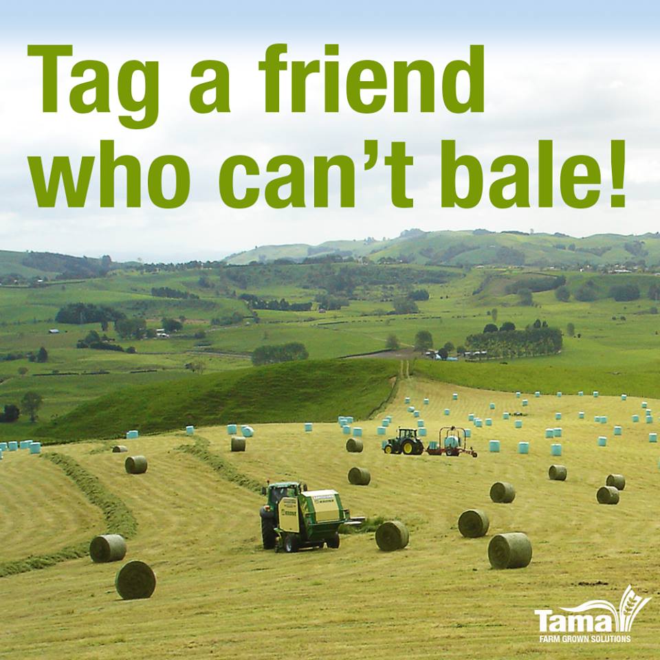 Tag a friend who can't bale!