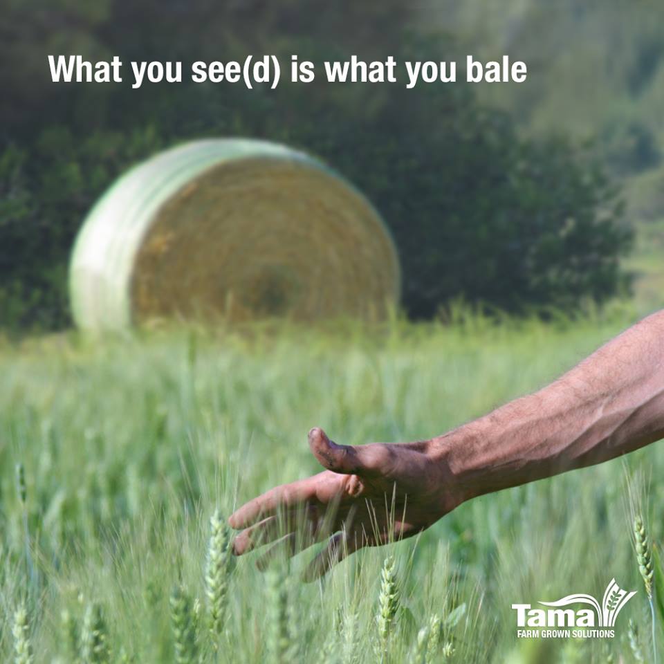 What you see(d) is what you bale