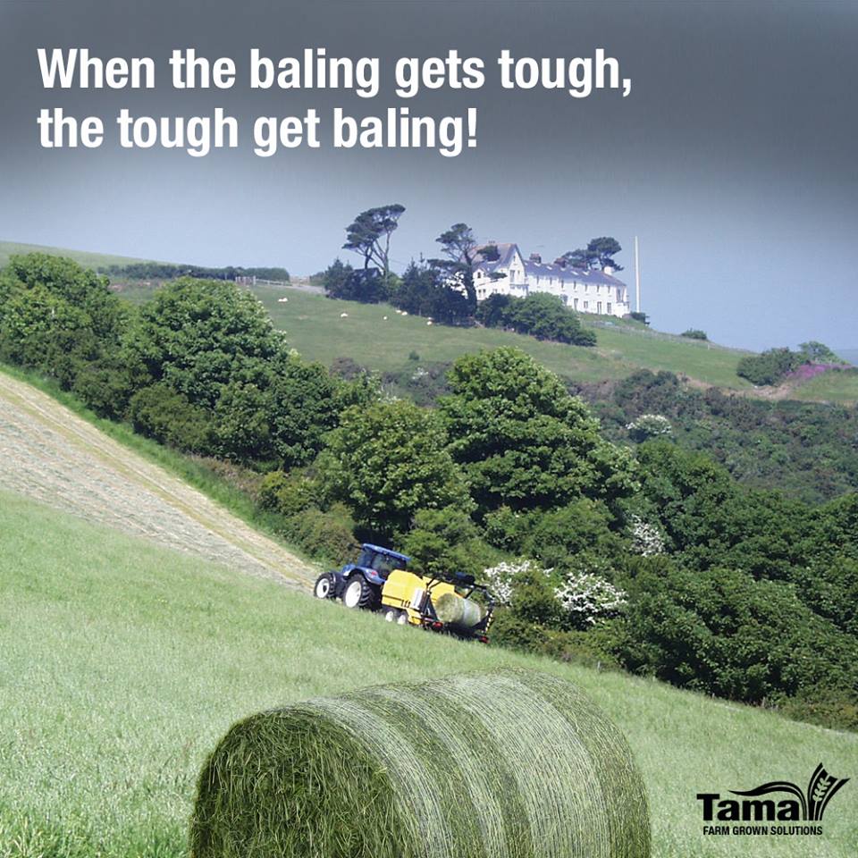 When the baling gets tough, the tough get baling!