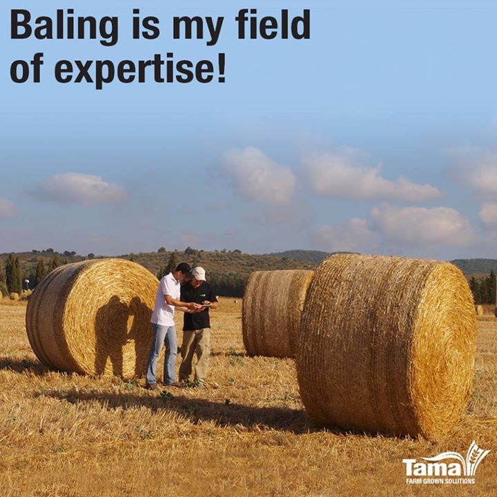 Baling is my field of expertise!