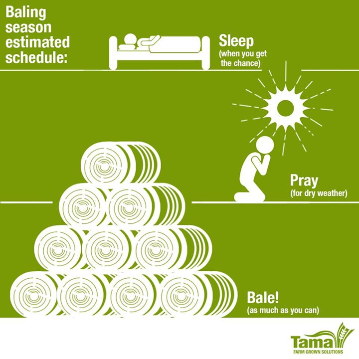 Baling season estimated schedule