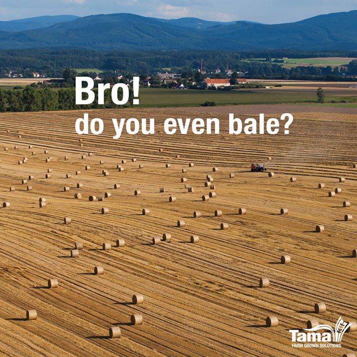 Bro do you even bale?