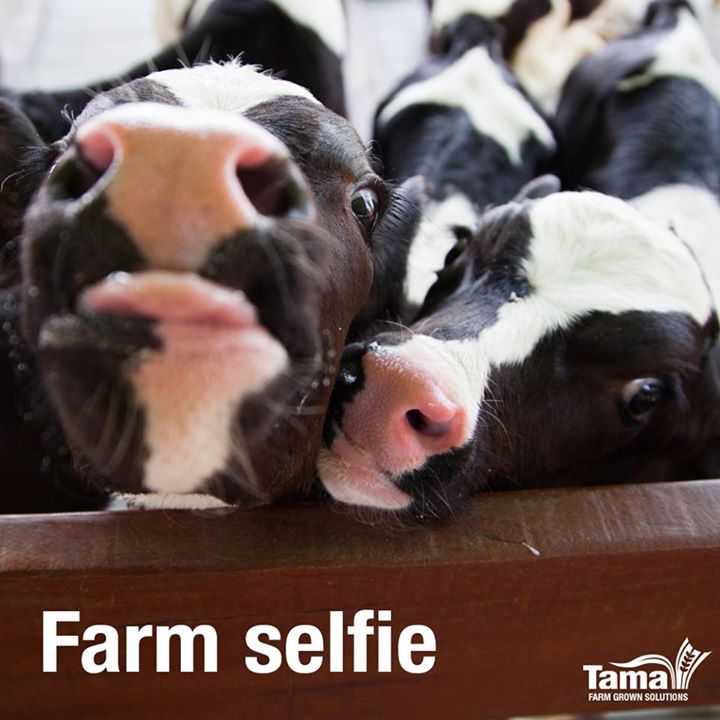 Farm selfie