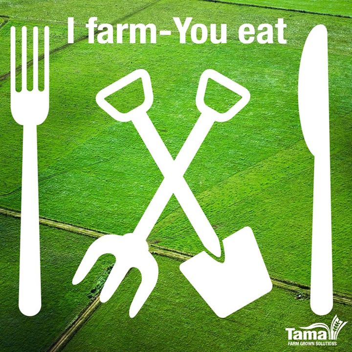 I farm - You eat