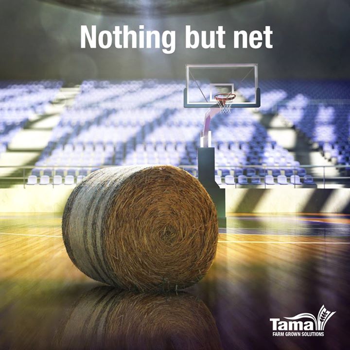 Nothing but net