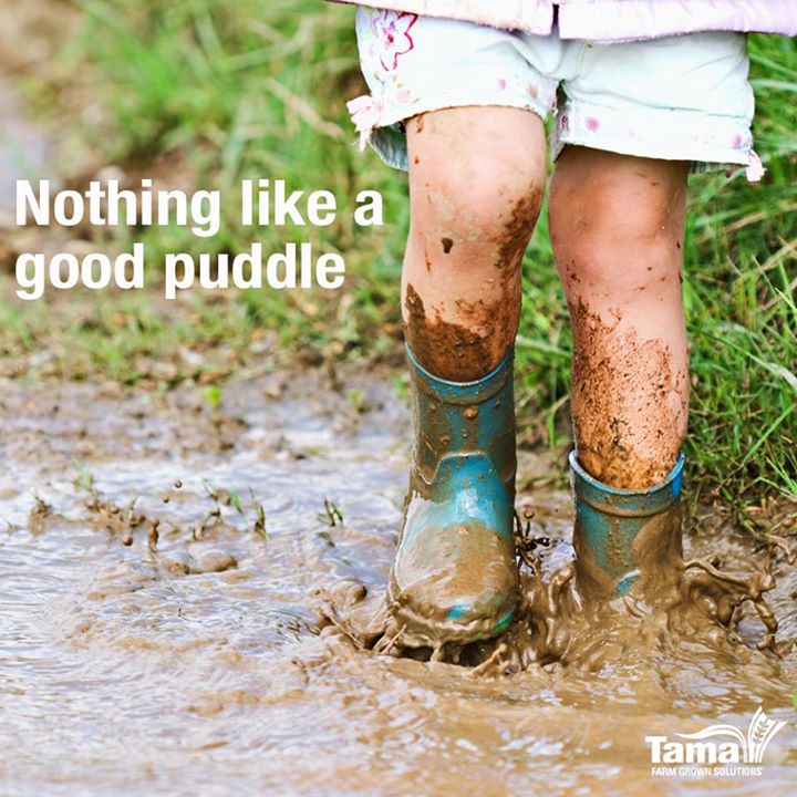 Nothing like a good puddle