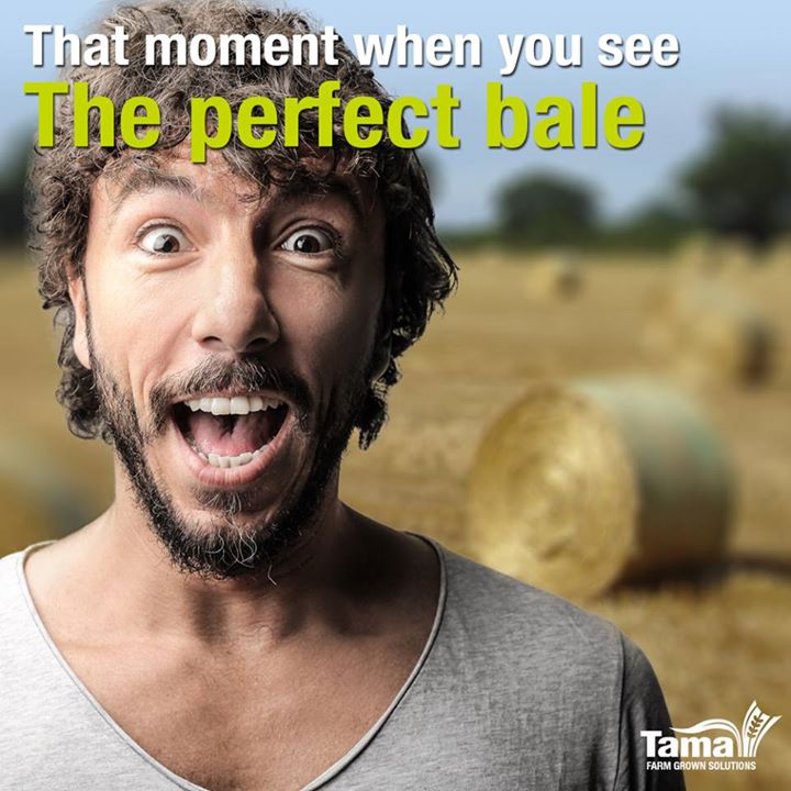 That moment when you see-The perfect bale