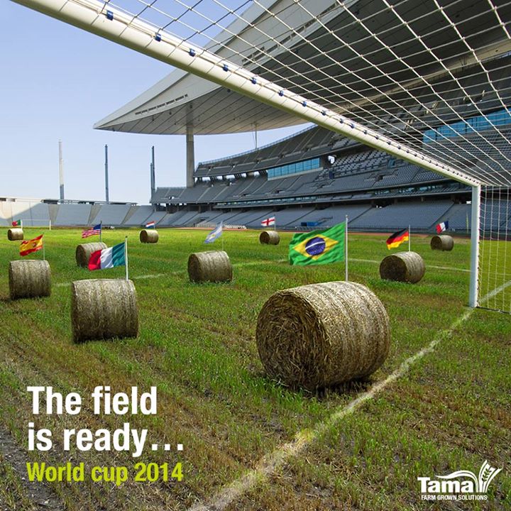 The field is ready... World cup 2014