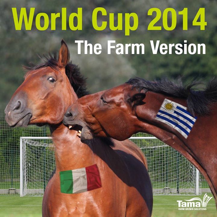 World Cup 2014 - The Farm Version