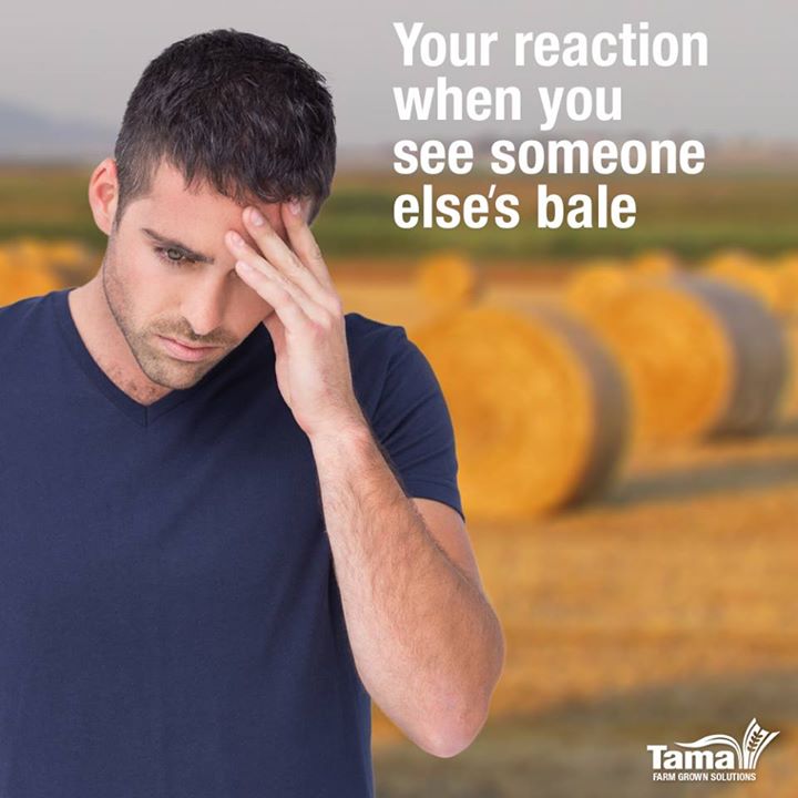 Your reaction when you see someone else's bale