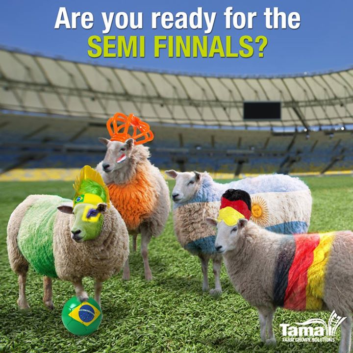 Are you ready for the SEMI FINNELS?