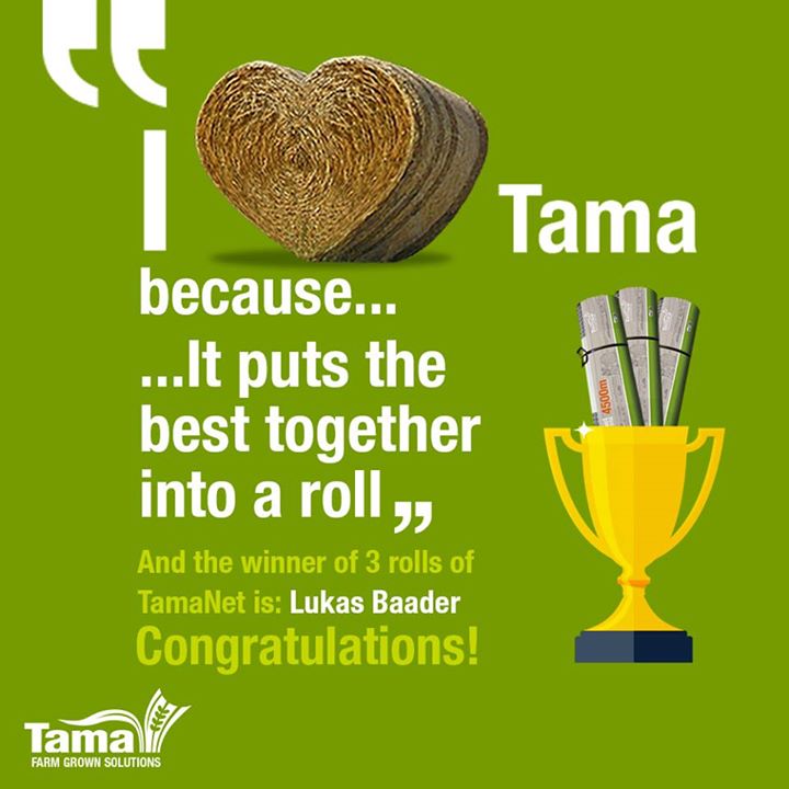 I Love Tama because...