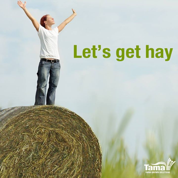 Let's get hay
