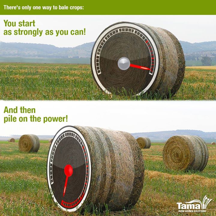 There's only one way to bale crops: