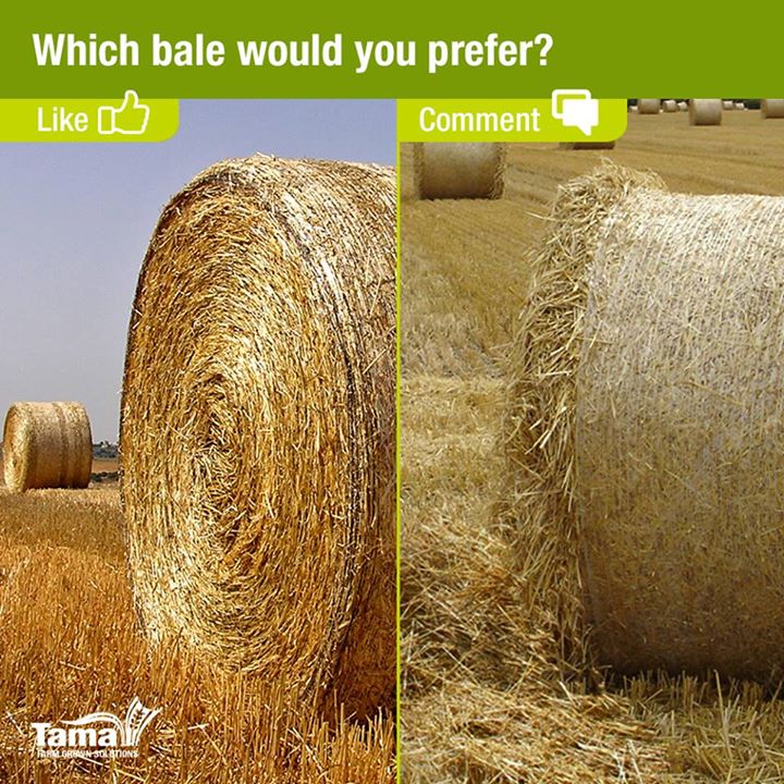 Which bale would you prefer?