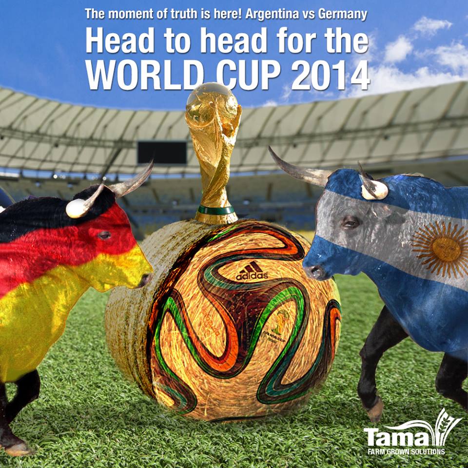 World Cup 2014