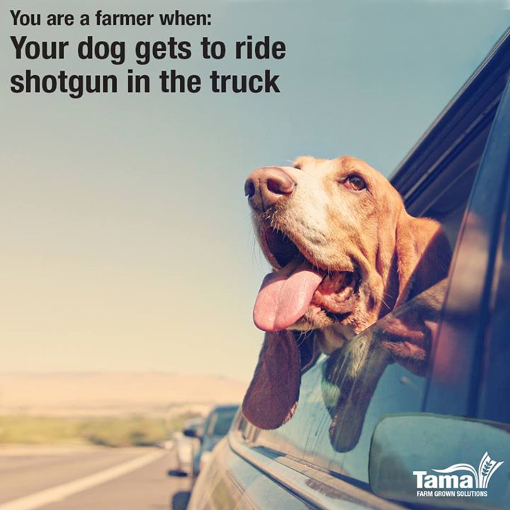 You are a farmer when: