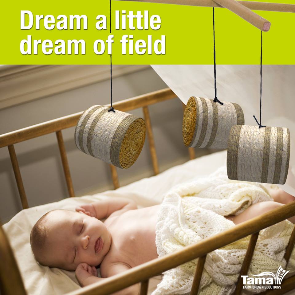 Dream a little dream of field