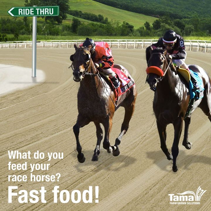Fast food