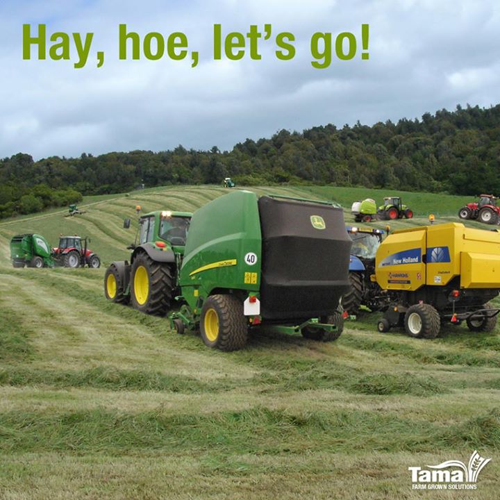 Hay, hoe, let's go!