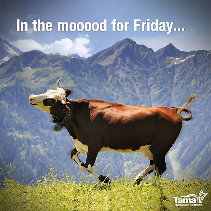 In the mooood for Friday...